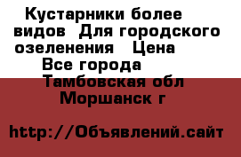 Кустарники более 100 видов. Для городского озеленения › Цена ­ 70 - Все города  »    . Тамбовская обл.,Моршанск г.